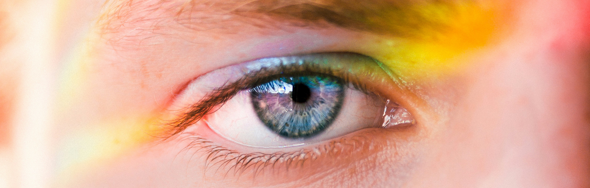 banner image